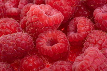 Wall Mural - raspberries isolated