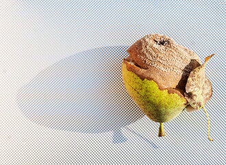 Wall Mural - Image of a pear on a metal background