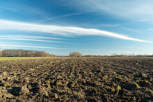 Plowed Field And White Clouds On A Blue Sky In Eastern Poland