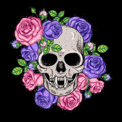 Wall Mural - Skull and flowers hand drawn illustration. Tattoo vintage print. Vampire skull and roses.