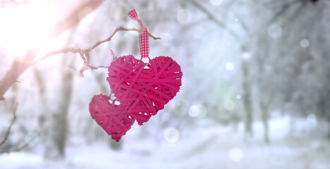 Wall Mural - Red hearts on snowy tree branch in winter. Holidays happy valentines day. Love concept.