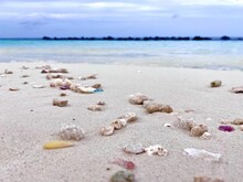 Closeup Shot Of Small Rocks On The Sand At Maldives Beach During Daytime