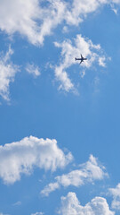 Wall Mural - The passenger plane is flying far away in the blue sky and white clouds. Airplane in the air. International passenger air transportation. The airplane flies in the distance. Vertical stories