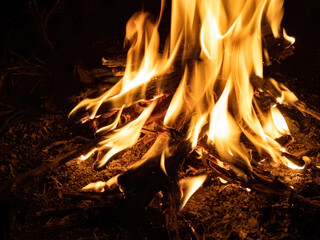 closeup of fire and cooking while camping in thuringia