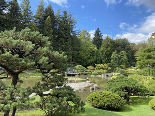 Japanese garden, Seattle, WA, USA.