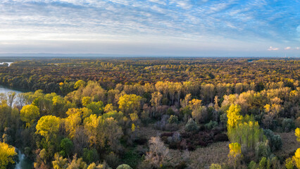 Panoramic landscape of the Rhine Valley with autumn colors near Ketsch in Germany.