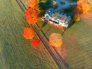 Wall Mural - aerial view of colorful autumn tree and house