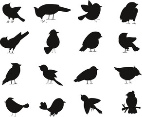 Wall Mural - Set of Birds isolated vector Silhouettes