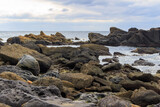 Fototapeta  - 海の岩場