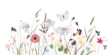 Watercolor Illustration With Wildflowers, Herbs And Butterfly. Panoramic Horizontal Isolated Illustration. Autumn Meadow. Illustration For Card, Border, Banner Or Your Other Design.