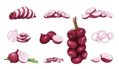 Canvas Print - Red onion set vector illustration. Cartoon isolated whole onion with leaf, cut in half, circle slices, sections and chopped pieces for cooking, hanging bunch of purple raw shallot heads in peel