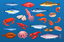 Sea And Ocean Fishes, Crustaceans And Shellfish Set Vector Illustration. Cartoon Isolated Seafood Collection With Crab And Lobster, Whole Sardine And Anchovy, Salmon And Tuna, Pieces And Fish Fillet