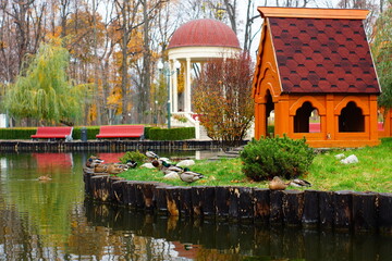 Wall Mural - lake with ducks in the park