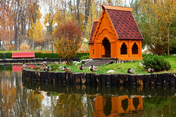 Wall Mural - lake with ducks in the park