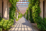 Fototapeta Pomosty - Columns with ivy in a row. Colonnade perspective.