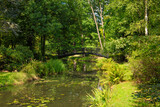 Fototapeta Pomosty - A small bridge over a stream in the park. Romantic wallpaper.