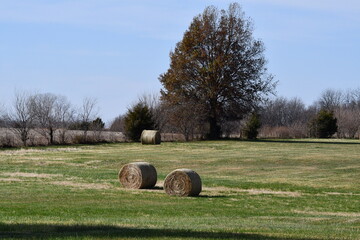 Sticker - Hay bales in a farm field