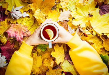 Wall Mural - Autumn concept - caucasian woman's hands hold a mug of black tea with lemon on a carpet of fallen autumn leaves, wearing yellow hoodie, top view