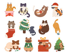 Set Of Cute Christmas Cats. Funny Pets Feline Characters Sit In Gift Box Or Sock, Wrap In Garland, Play With Bauble