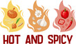 © Iryna Kuzmych - Vector illustration of a set of spicy vegetables on a background of flames and the text 'hot and spisy'. Sets of garlic, onion and pepper on a white background in flat style.