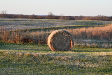 Canvas Print - Hay Bale in a Field