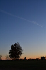 Canvas Print - Twilight Contrail