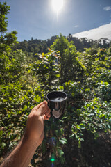 hand holding cup of coffee on wooden table in tropical jungle