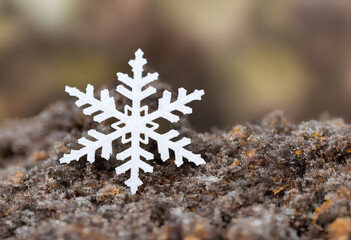 Wall Mural - snowflake on the snow