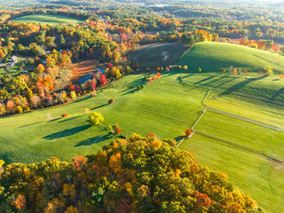 Poster - aerial view of pasture in mountain forest