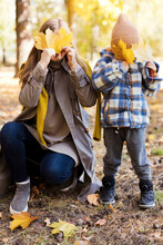 Mother And Son Covering Eyes With Yellow Maple Leaves In Park