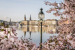 © Westend61 - Germany, Hamburg, Inner Alster Lake in spring with street light and cherry blossom branches in foreground