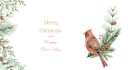 Wall Mural - watercolor vector christmas card with cardinal bird, fir branches and place for text.