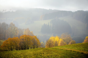 Wall Mural - Colorful autumn landscape in foggy haze