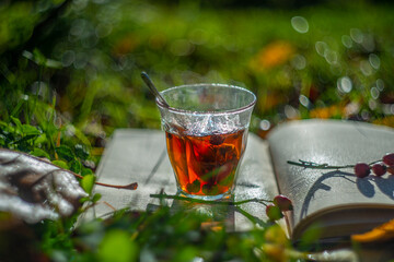 Canvas Print - beautiful artistic photography - autumn still life with a cup of tea and book in the garden - shallow depth of field and artistic bokeh