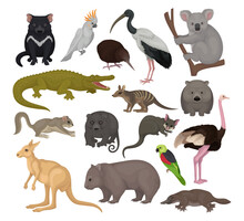 Australian Animals Set. Kangaroo, Wild Dog Dingo, Marsupial Bear, Koala, Echidna, Platypus, Wombat Cartoon Vector Illustration