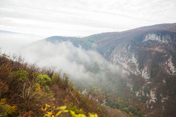 Wall Mural - Amazing view of misty mountain peaks in autumn season in the morning. Beautiful nature, fall foggy landscape.	