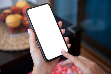 female hands hold phone with isolated screen background of cafe