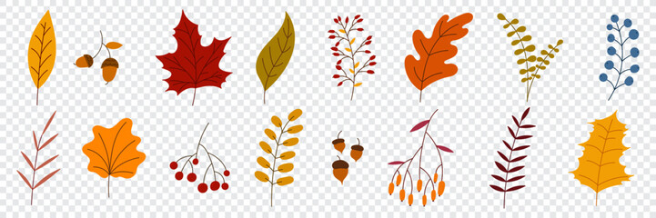 Poster - Hand drawn autumn collection with seasonal plants and leaves. Set of hand drawn plants, leaves, flowers. Colorful of natural elements for seasonal backgrounds. Vector illustration