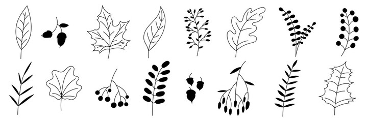 Poster - Hand drawn autumn collection with seasonal plants and leaves. Set of hand drawn plants, leaves, flowers. Silhouettes of natural elements for seasonal backgrounds. Vector illustration