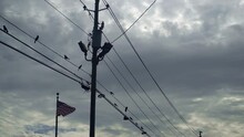 American Flag With Black Crows On Power Lines And Sneakers Dangling In Poor US Neighborhood.