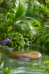 Stone podium inside the natural forest and in the river. Display products 