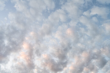 Wall Mural - Cloudscape of light and very soft pink grey clouds at golden hour