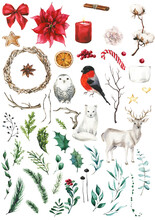 Watercolor Isolated Candy, Gingerbread,  Branch Leaves, Red Berries, Holly Leaf, Cinnamon, Fir Tree, Bow, Wreath, Raindeer, White Owl, Bullfinch. Hand Drawn PNG Illustration On Transparent Background.