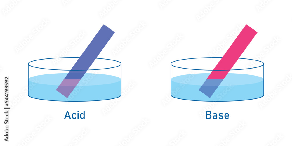 Acids cause blue litmus paper to turn red. Scientific vector