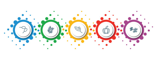 Poster - editable thin line icons with infographic template. infographic for nature concept. included fertilize clinic, bilberry leaf, lanceolate, farming, escuamiforme icons.