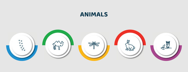 Wall Mural - editable thin line icons with infographic template. infographic for animals concept. included pawprints, humps, dragon fly, sitting rabbit, wise icons.