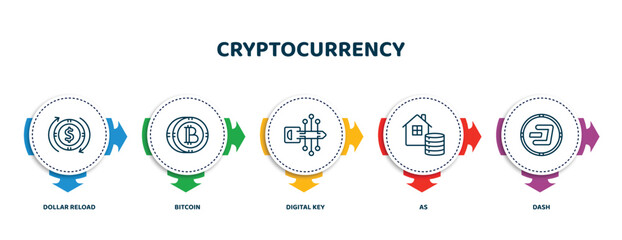 Poster - editable thin line icons with infographic template. infographic for cryptocurrency concept. included dollar reload, bitcoin, digital key, as, dash icons.