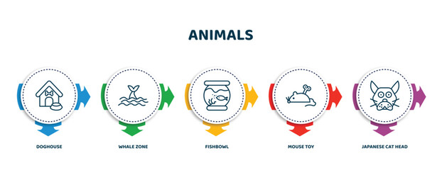 Wall Mural - editable thin line icons with infographic template. infographic for animals concept. included doghouse, whale zone, fishbowl, mouse toy, japanese cat head icons.