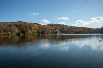 Sticker - autumn in the mountains