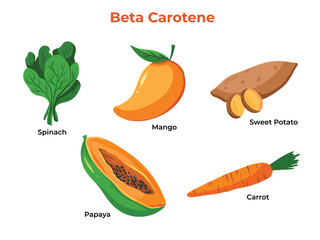 Sets of fruits and vegetables that contains beta carotene or source of vitamin A. Educational food information for healthy lifestyle vector illustration collection with cartoon flat art style colored.